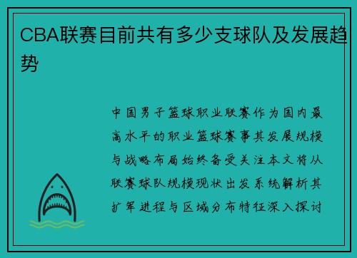 CBA联赛目前共有多少支球队及发展趋势