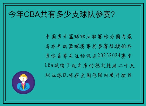 今年CBA共有多少支球队参赛？